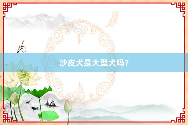 沙皮犬是大型犬吗？